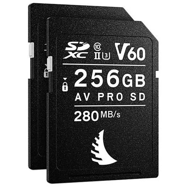 Angelbird AVpro SDXC UHS-II V60 256GB read speed 280 MBs write speed 160 MBs (2 pezzi)
