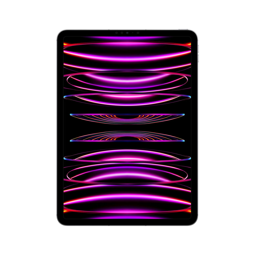Apple iPad Pro 11" Wi-Fi + Cellular - 256GB - Grigio Siderale (2022)