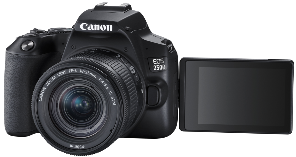 CANON EOS 250D KIT EF-S 18-55 IS STM