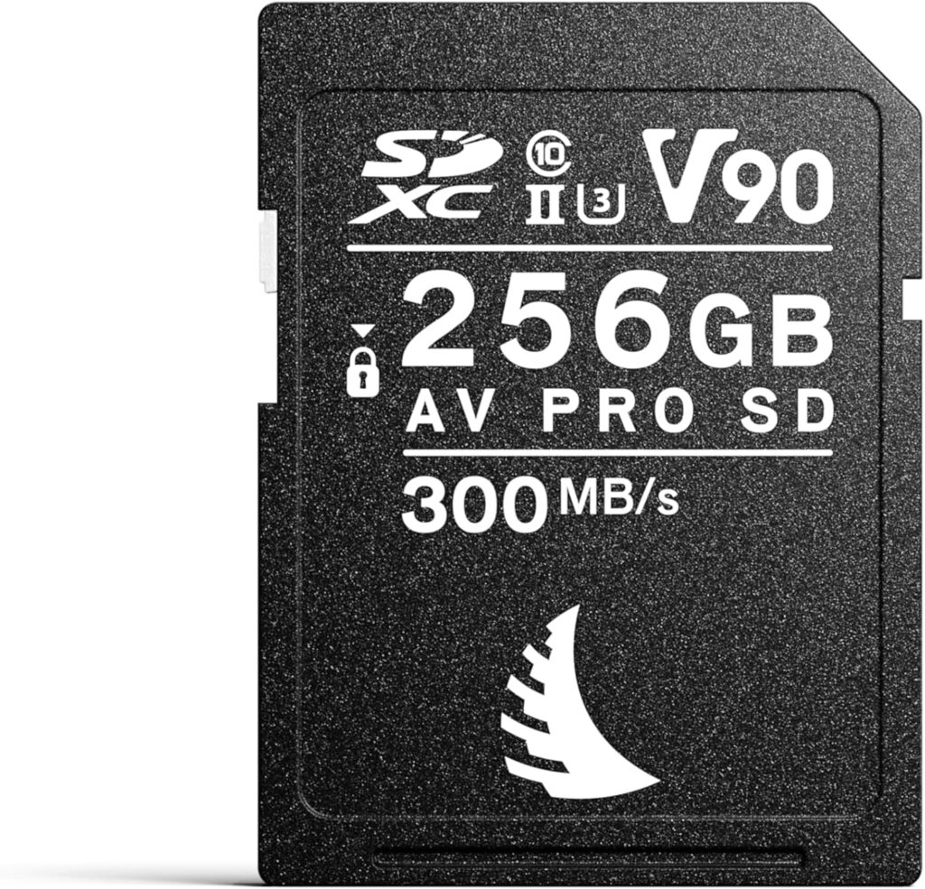 Angelbird AVpro SDXC UHS-II V90 256GB read speed 280 MBs write speed 160 MBs