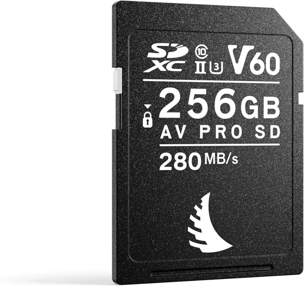 Angelbird AVpro SDXC UHS-II V60 256GB read speed 280 MBs write speed 160 MBs