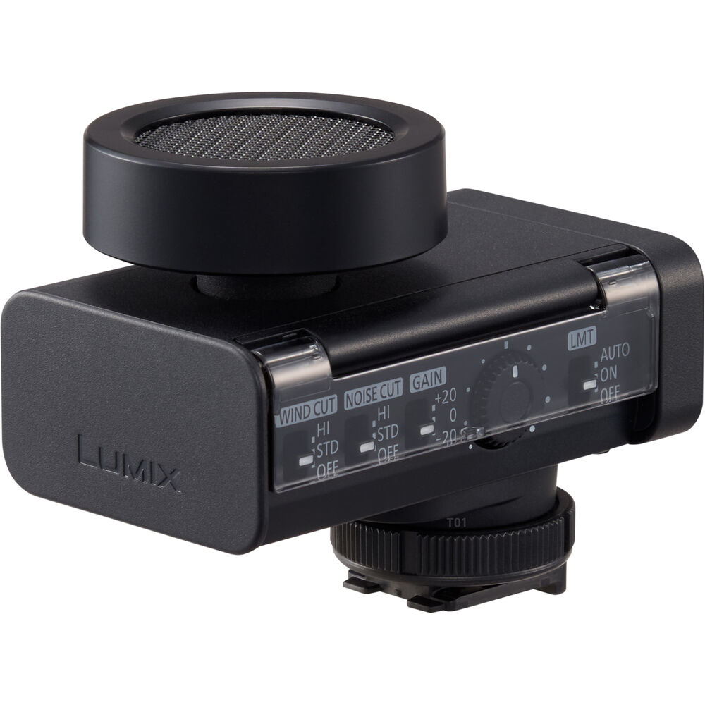 Lumix DMS1 Microfono